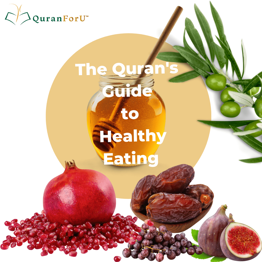 Fruits mentioned in the Quran and their health benefits Part 1