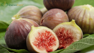 figs