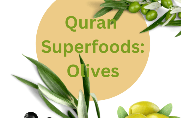 Olives in the Quran and their Health Benefits