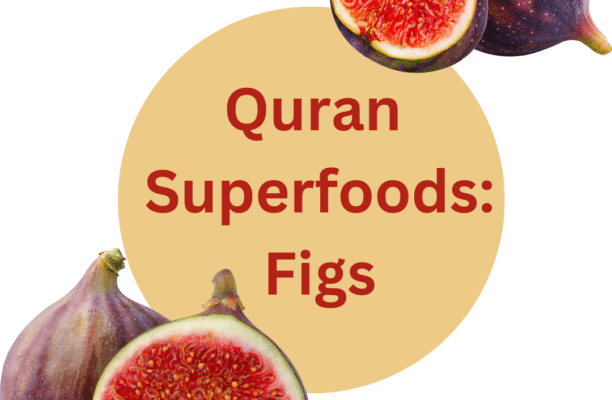 The Health Benefits of Figs: A Fruit Mentioned in the Quran