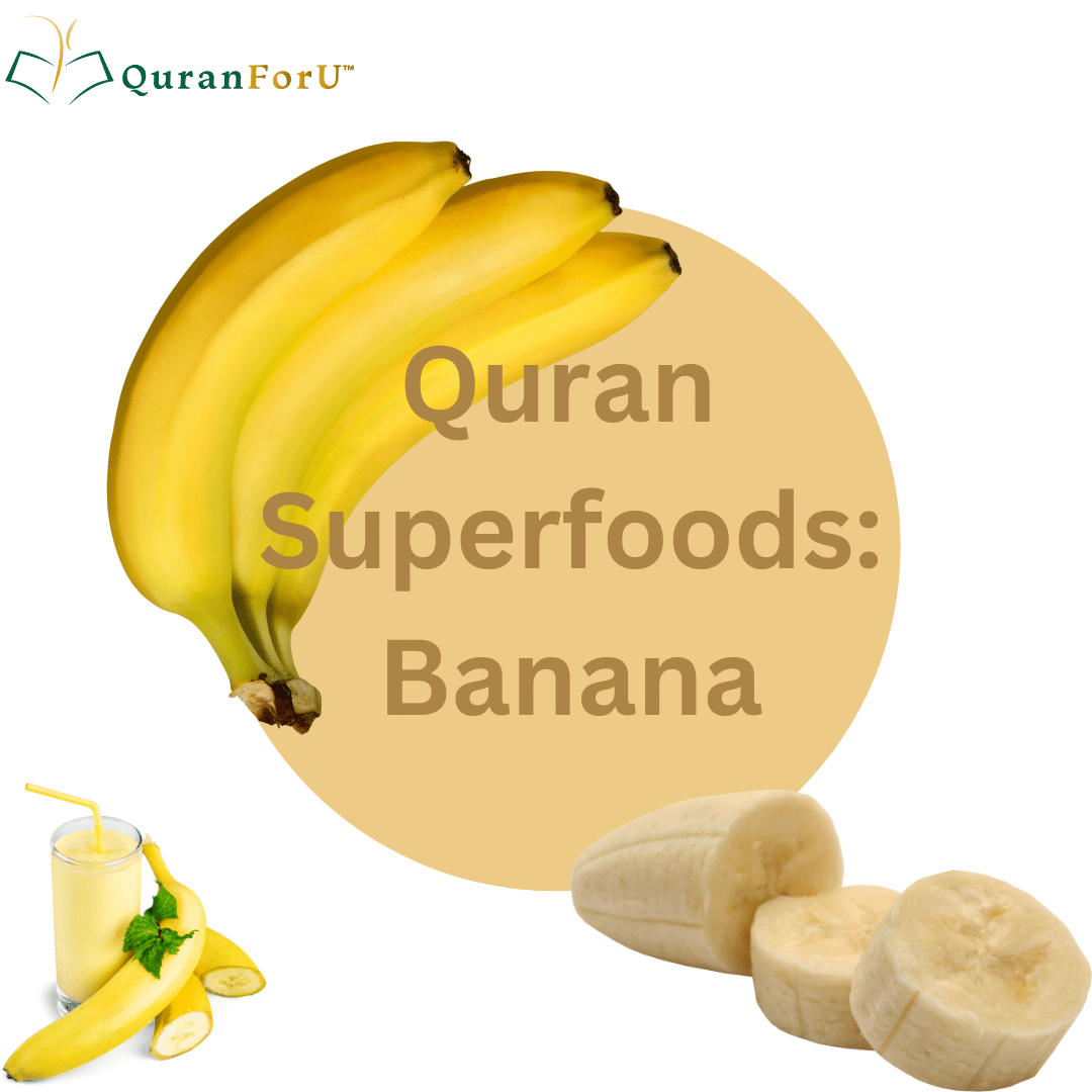 Bananas in the Quran: Health Benefits