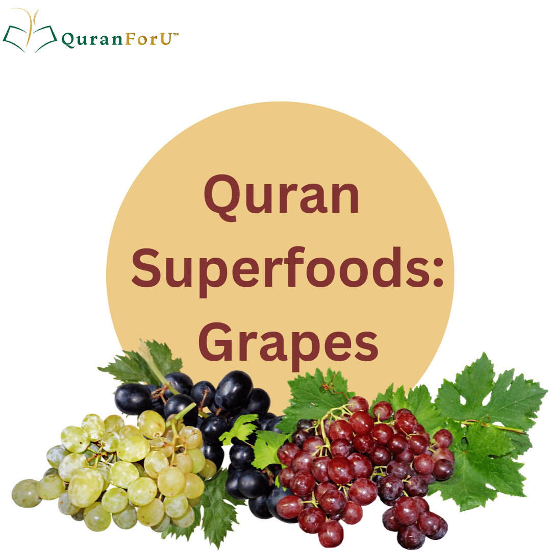 Grapes in the Quran: Health Benefits 