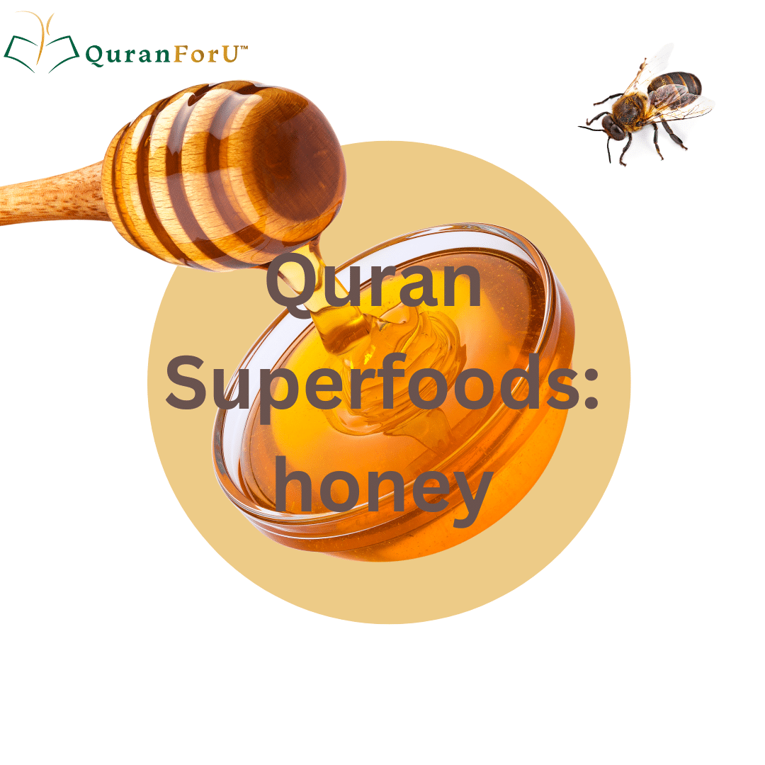 Honey in the Quran: Health Benefits