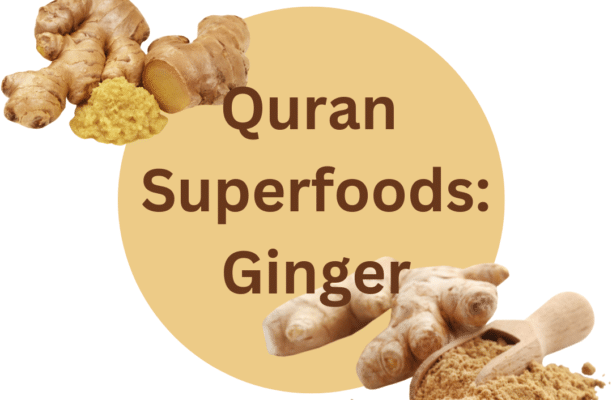 Ginger (Zanjabil) in the Quran: Health Benefits