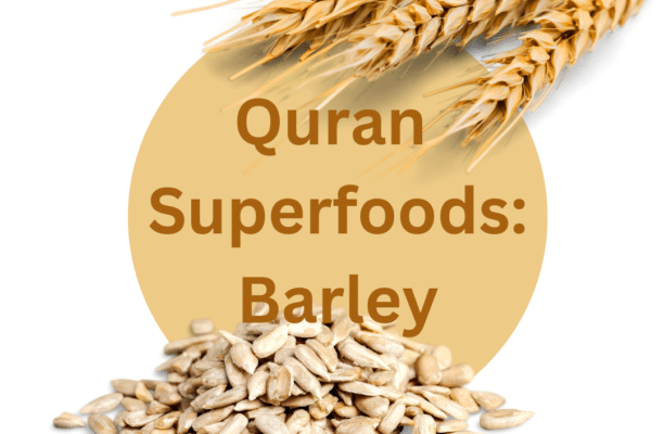 Quran Superfood: Barley ( Sha’ir)