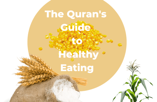 Grains mentioned in the Quran