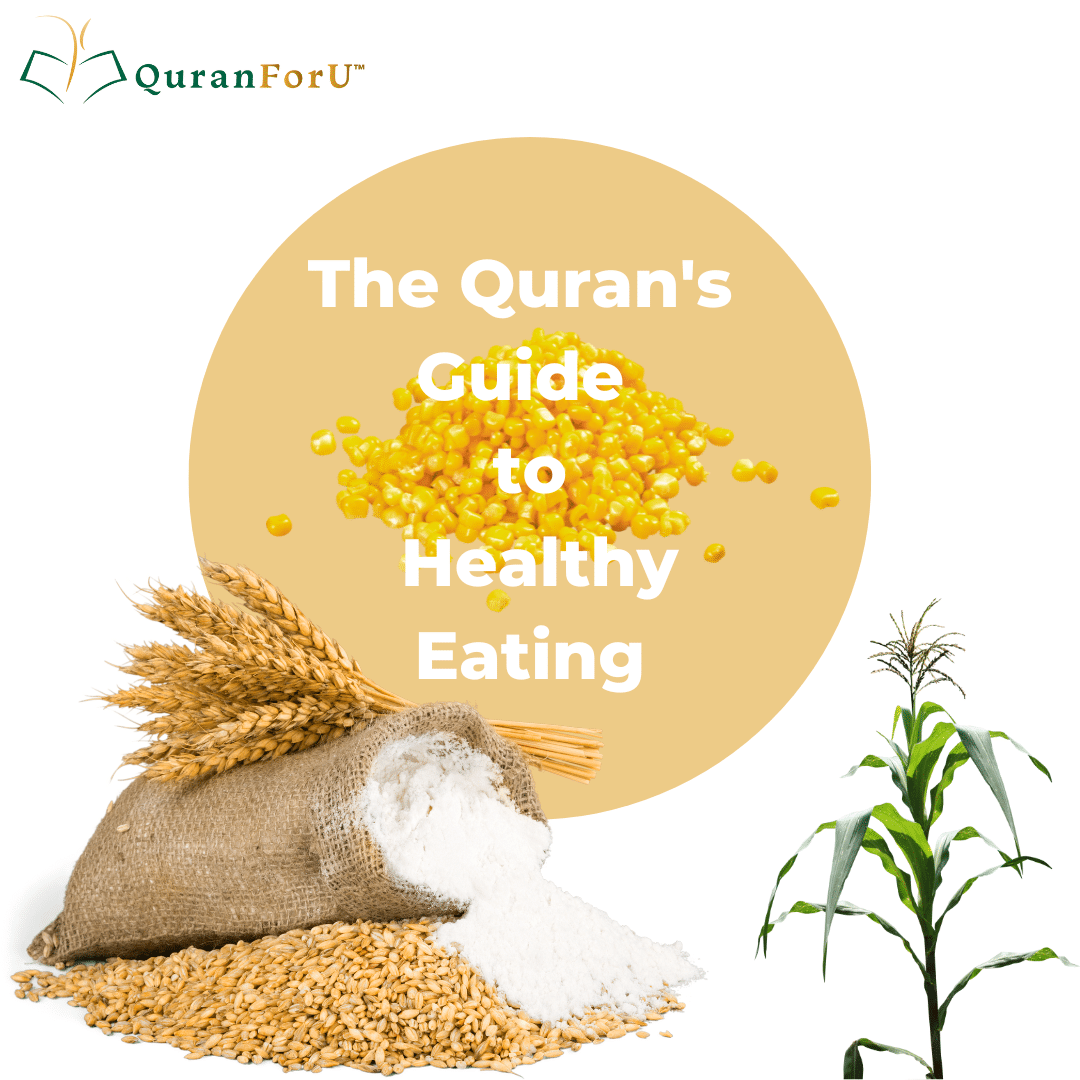 Grains mentioned in the Quran