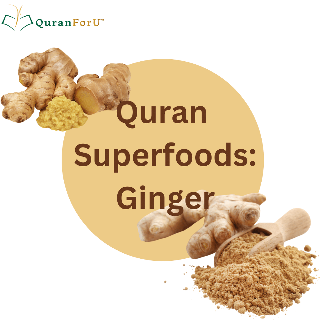 Ginger (Zanjabil) in the Quran: Health Benefits