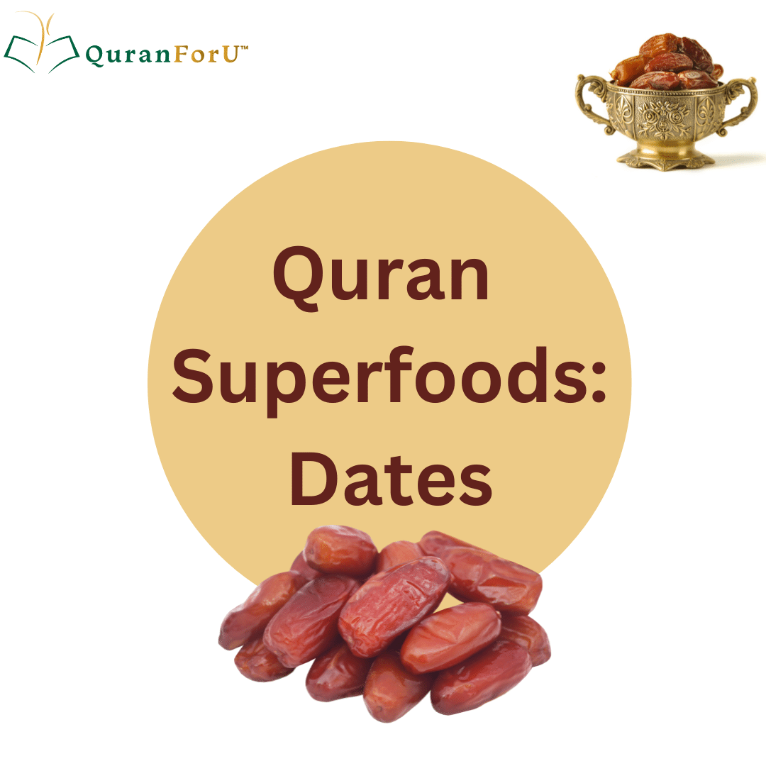 QuranSuperfood: Dates