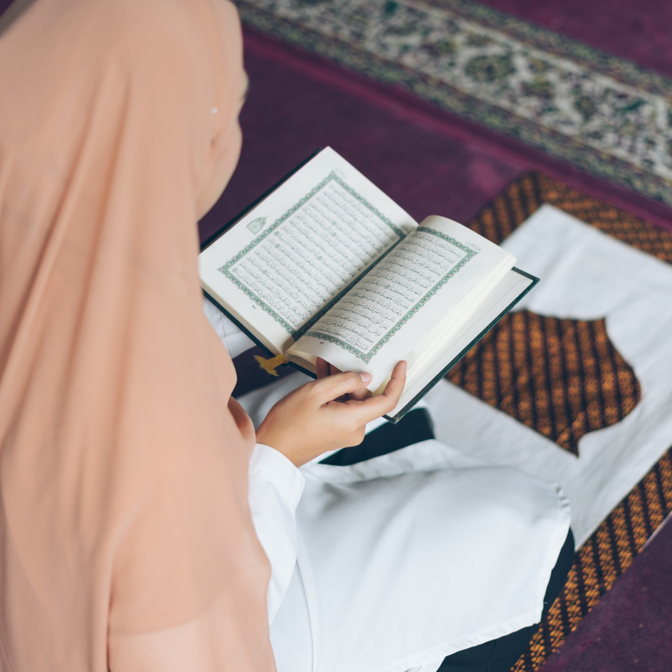 Top 5 Websites to Learn Tajweed Online [2024 Guide]