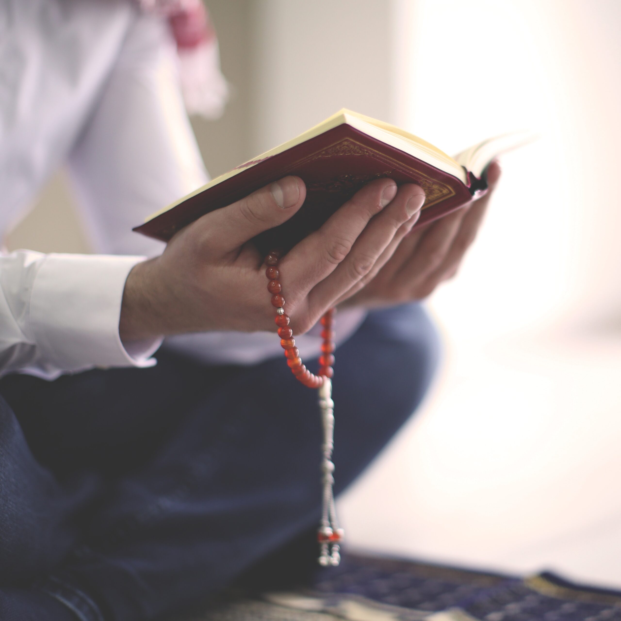 Understanding The Benefits of Reading Surah Yaseen