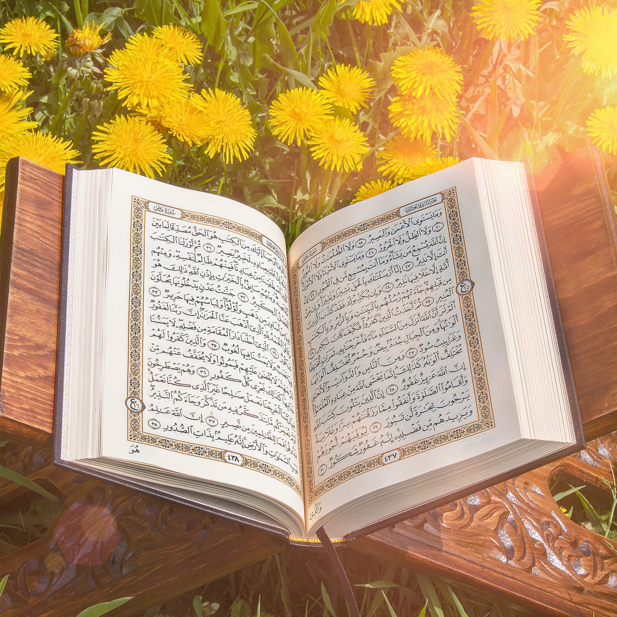 Easy Way To Learn and Read Quran with Quranforu