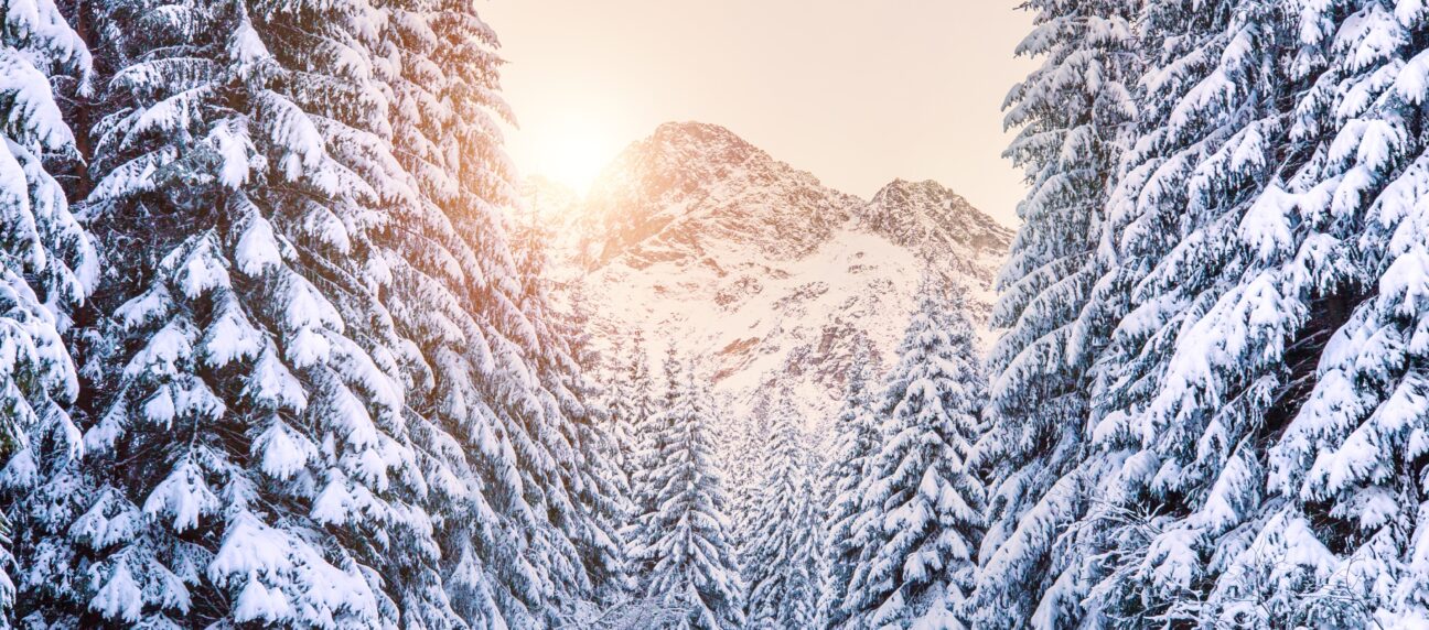 Finding Peace in Stillness: A Quranic Perspective on Winter