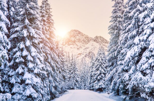 Finding Peace in Stillness: A Quranic Perspective on Winter