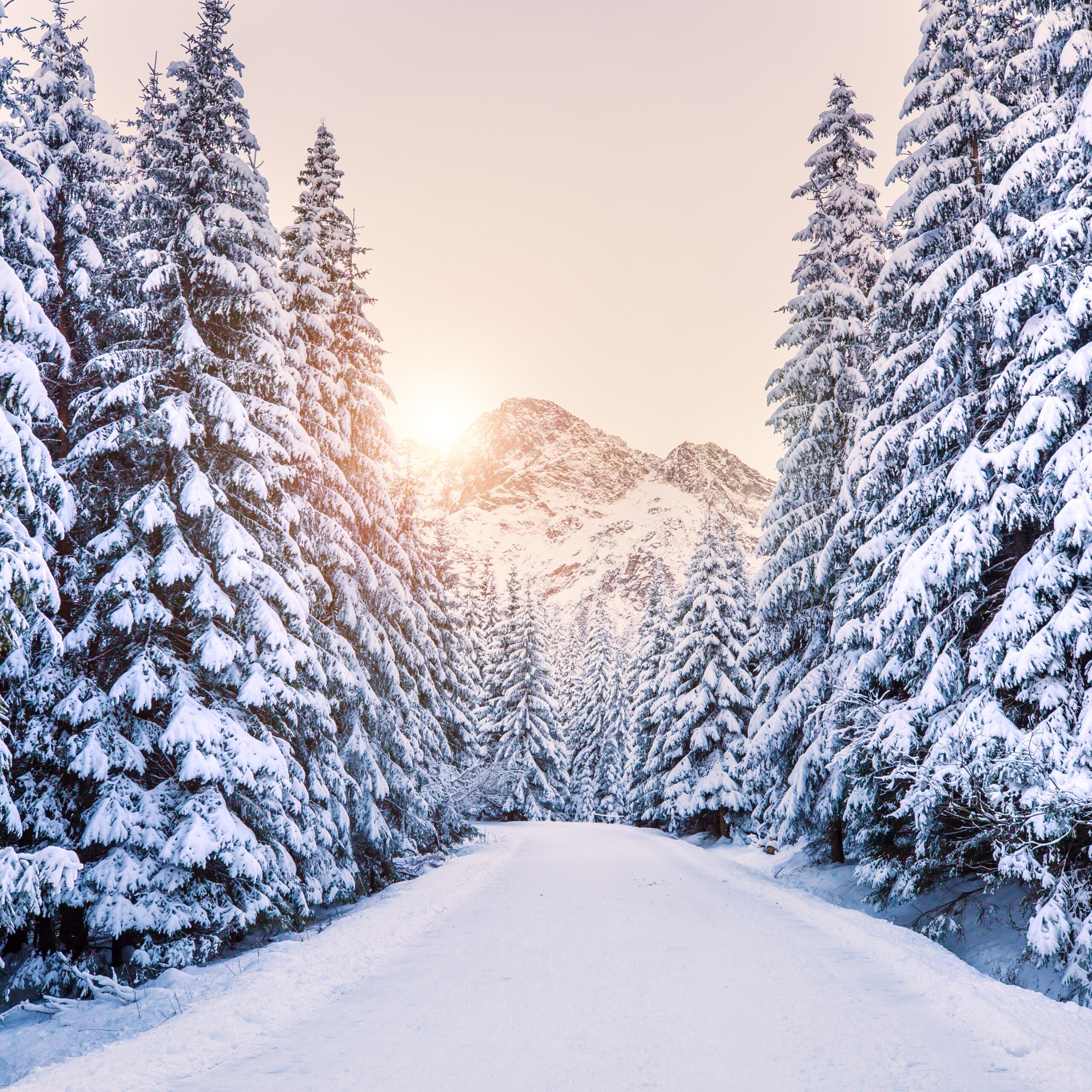 Finding Peace in Stillness: A Quranic Perspective on Winter